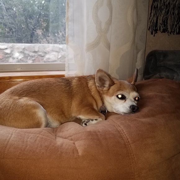 Meet your Posher, Tina - Picture 3 of 5